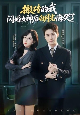 搬磚的我，閃婚女神后白月光悔哭了(全集)