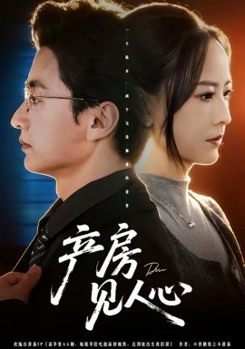 產(chǎn)房見人心(全集)