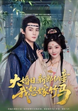 大婚日，新郎納妾我怒嫁竹馬(全集)