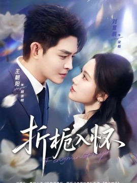 折梔入懷(全集)