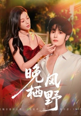 晚風(fēng)棲野(全集)