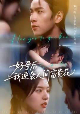 夜先生的小歡喜 好孕后我逆襲人間富貴花(全集)