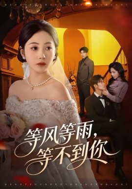 等風(fēng)等雨，等不到你(全集)