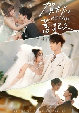 賀太太，你是我的蓄謀已久(全集)