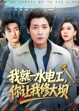 我就一水電工，你讓我修大壩(全集)