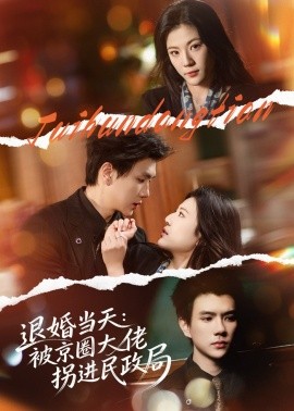 退婚當(dāng)天：被京圈大佬拐進民政局(全集)