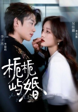 梔梔嶼婚(全集)