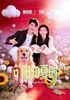 向陽知夏時(全集)