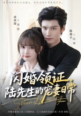 閃婚領(lǐng)證，陸先生的寵妻日常(全集)