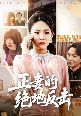 正妻的絕地反擊(全集)